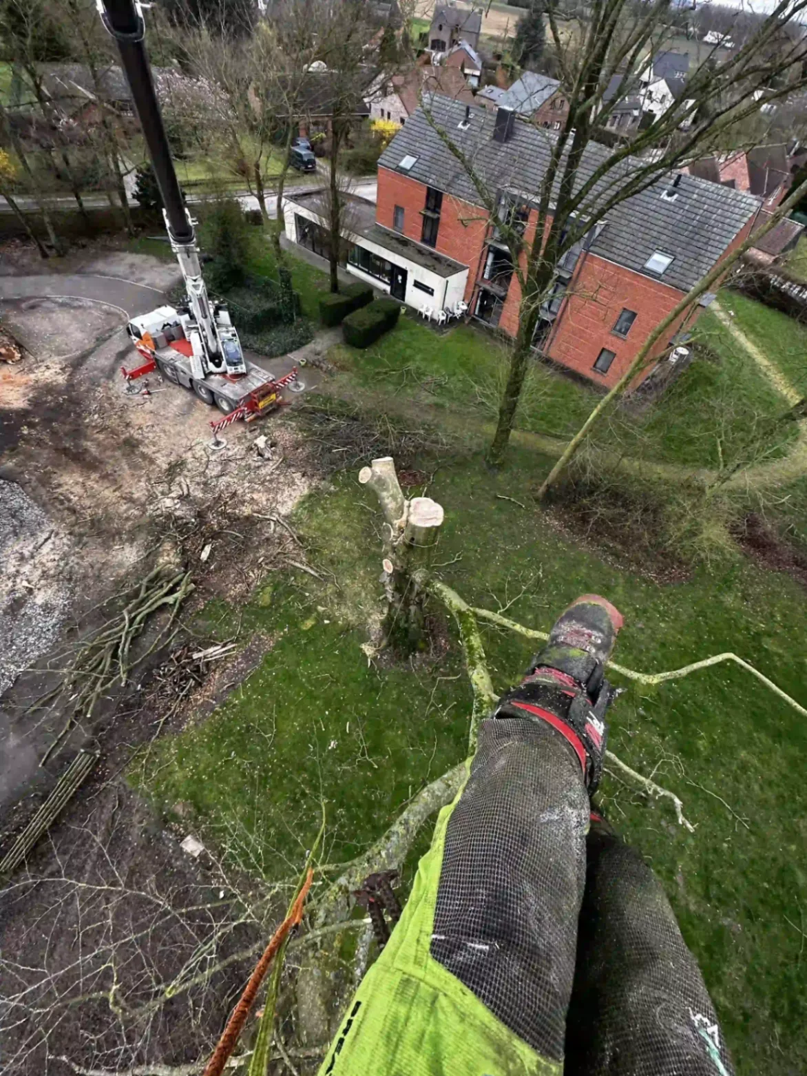 Abattage avec grue en zone résidentielle