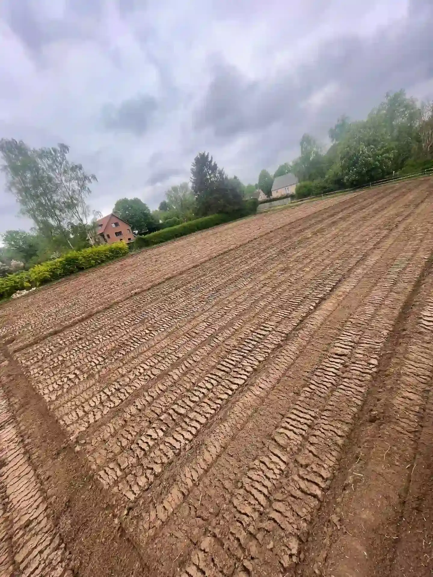 Déboisement de terrain et remise à nu